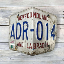 Load image into Gallery viewer, License Plate Birdhouses
