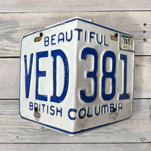 Load image into Gallery viewer, License Plate Birdhouses
