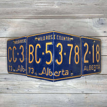 Load image into Gallery viewer, License Plate Birdhouses
