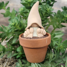 Load image into Gallery viewer, Plant Stakes
