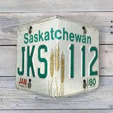 Load image into Gallery viewer, License Plate Birdhouses
