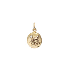 Load image into Gallery viewer, Medallion Charms
