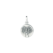 Load image into Gallery viewer, Medallion Charms
