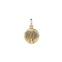 Load image into Gallery viewer, Medallion Charms
