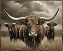Load image into Gallery viewer, Highland Cow Wall Decor
