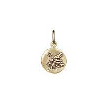 Load image into Gallery viewer, Medallion Charms
