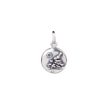 Load image into Gallery viewer, Medallion Charms
