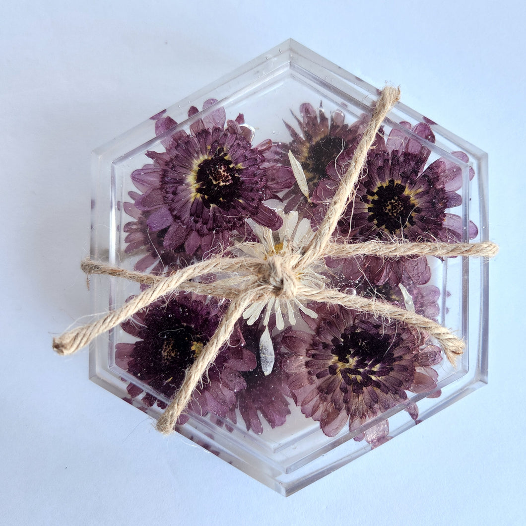 Pressed Floral Coaster Set