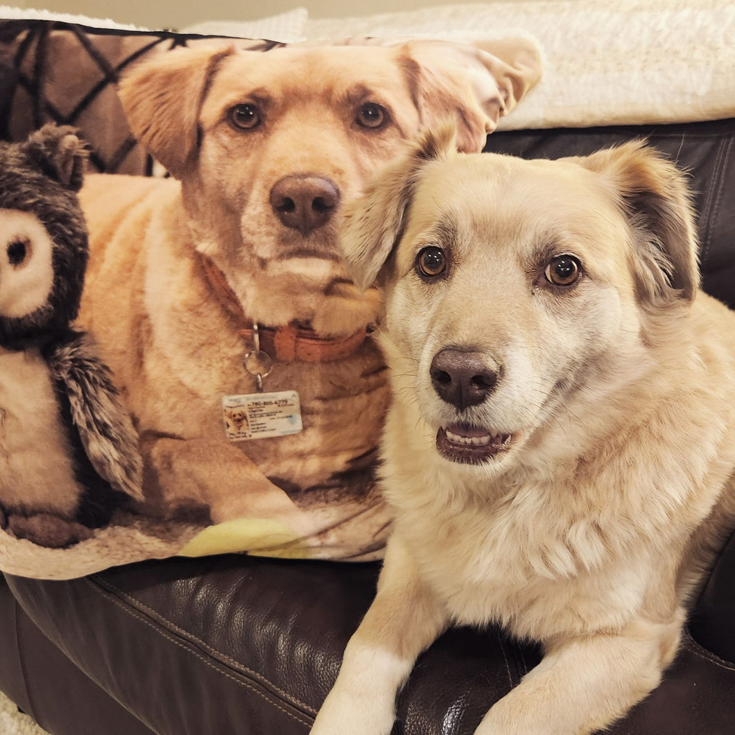 CUSTOMIZABLE Kousa Cushion Blankets