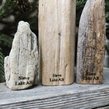 Load image into Gallery viewer, Driftwood Sitka Trees
