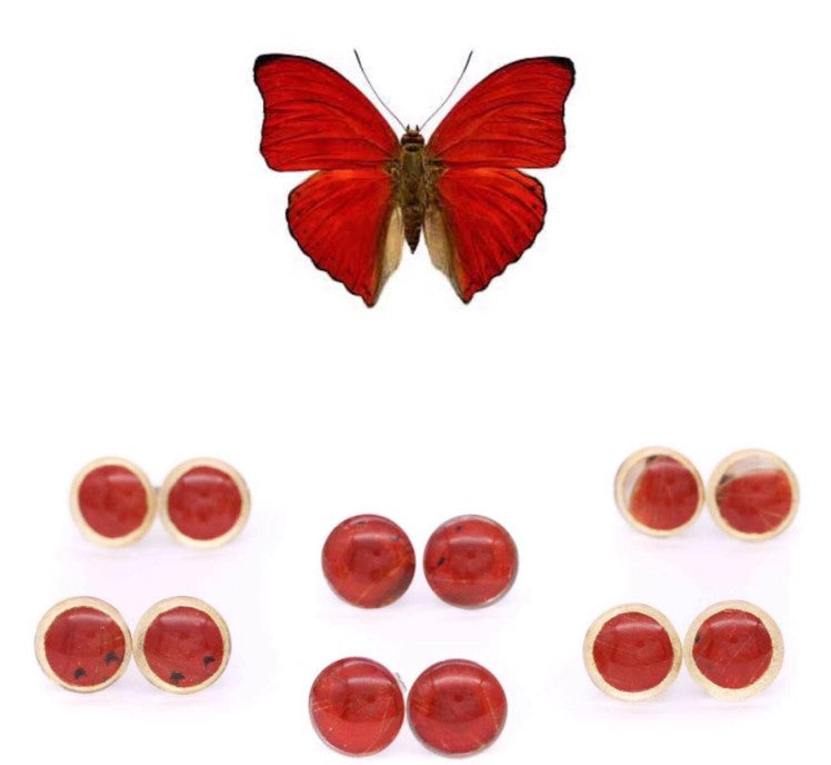 Wing & Glass Studs