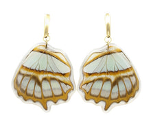 Load image into Gallery viewer, Real Butterfly Wing Dangles
