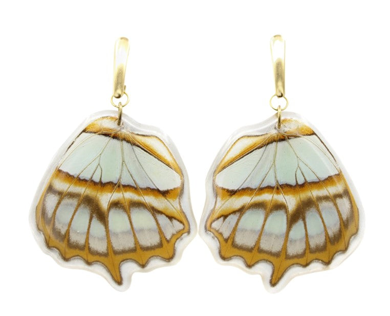 Real Butterfly Wing Dangles