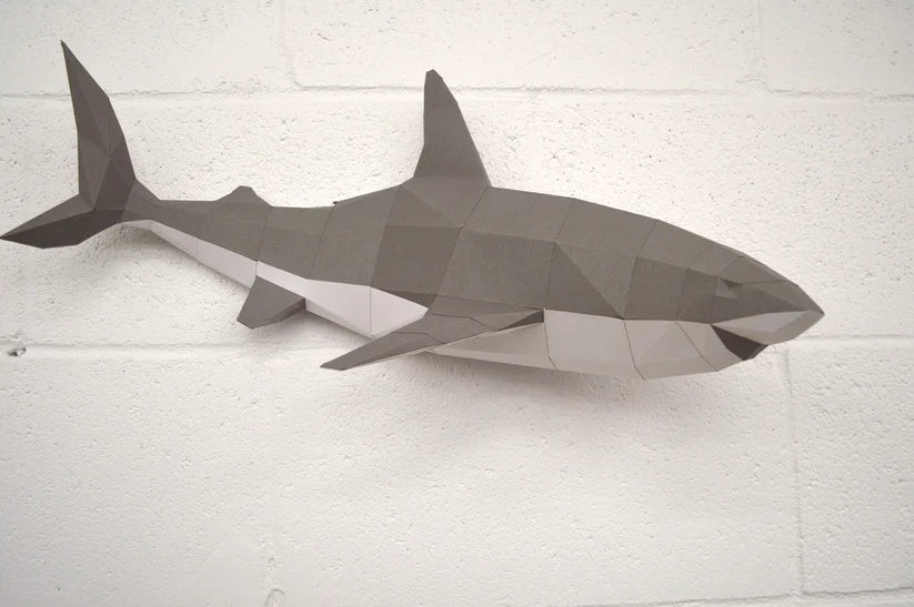 3D Paper Folding Kit